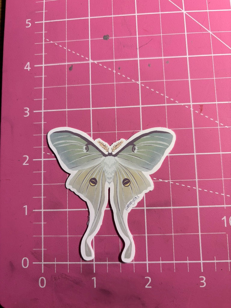 Actias Luna (Luna Moth) Sticker