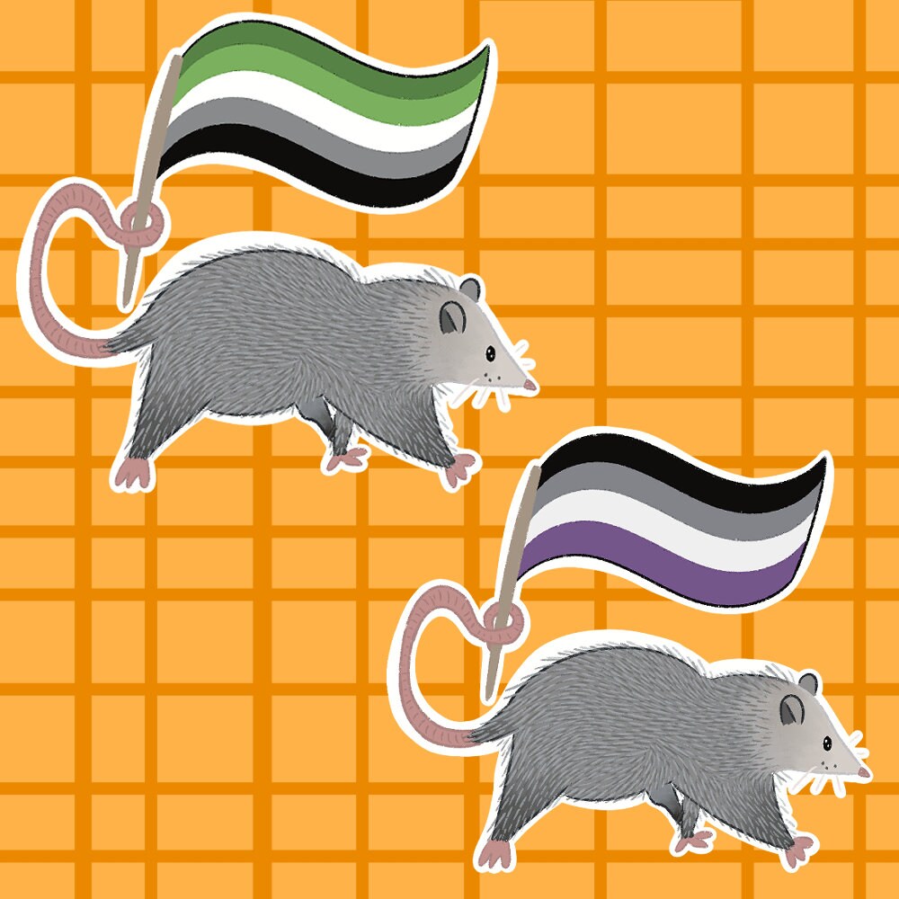 Pride Opossum Vinyl Stickers