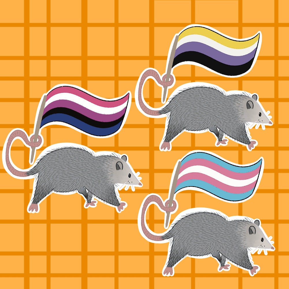 Pride Opossum Vinyl Stickers