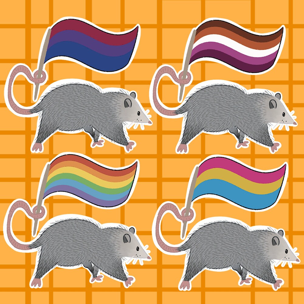Pride Opossum Vinyl Stickers
