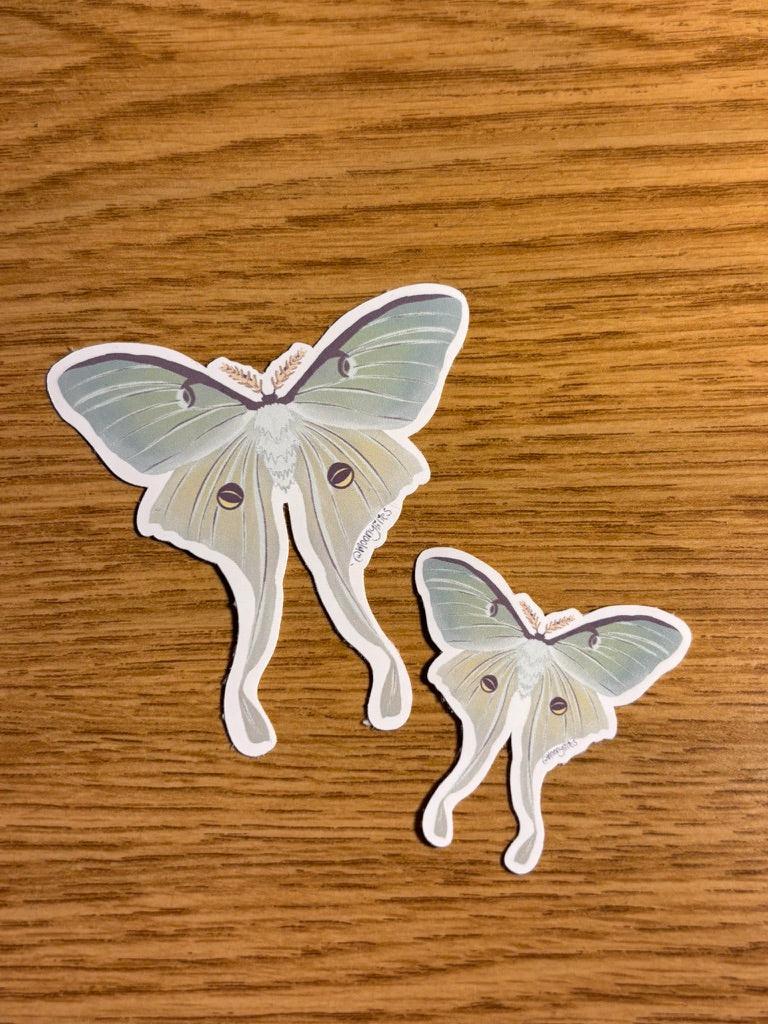 Actias Luna (Luna Moth) Sticker