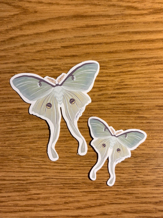 Actias Luna (Luna Moth) Sticker