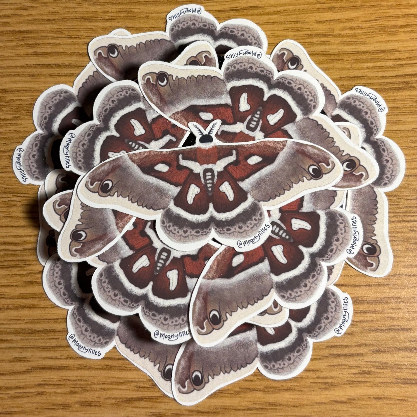 Hyalophora Golveri Moth sticker