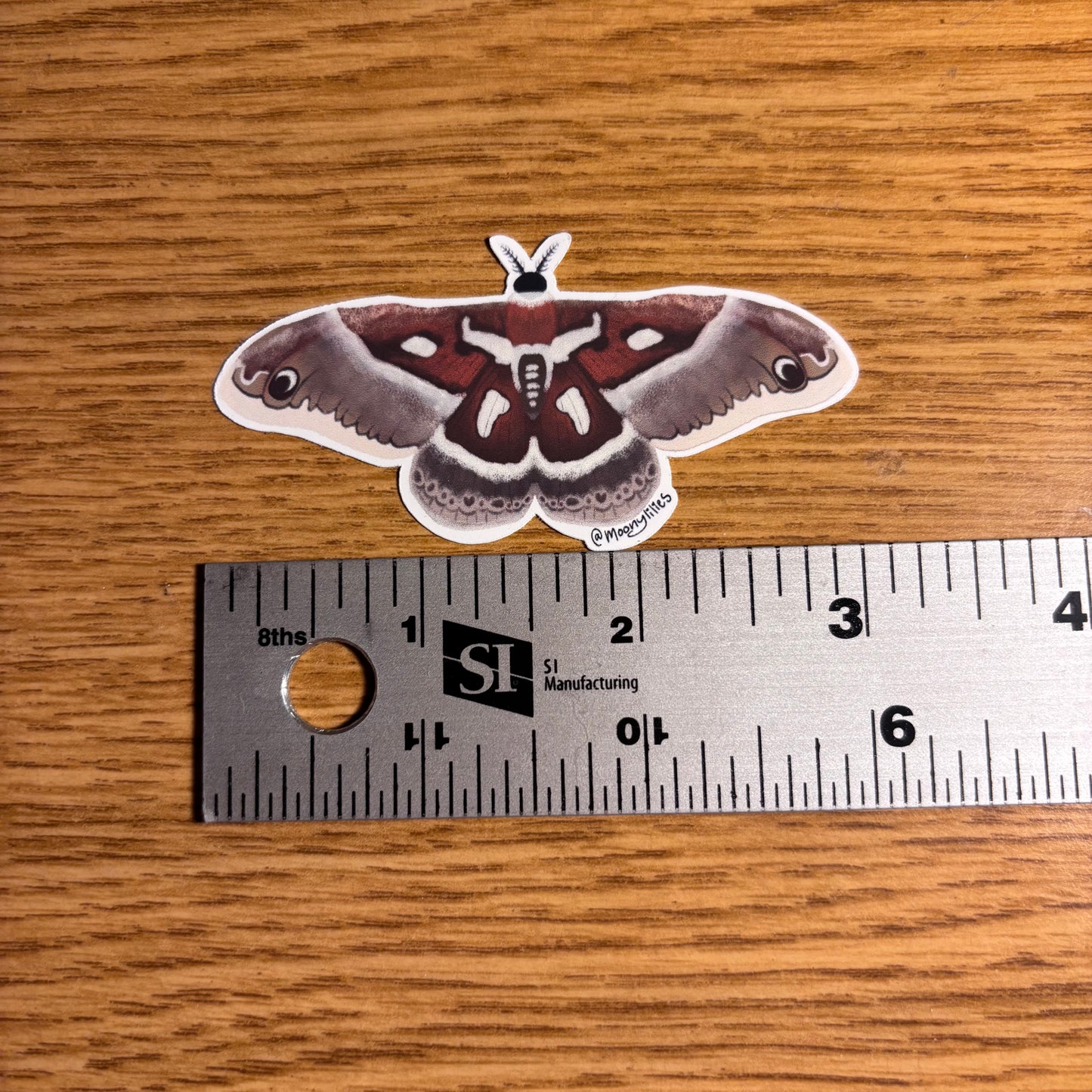 Hyalophora Golveri Moth sticker
