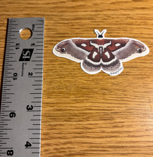 Hyalophora Golveri Moth sticker