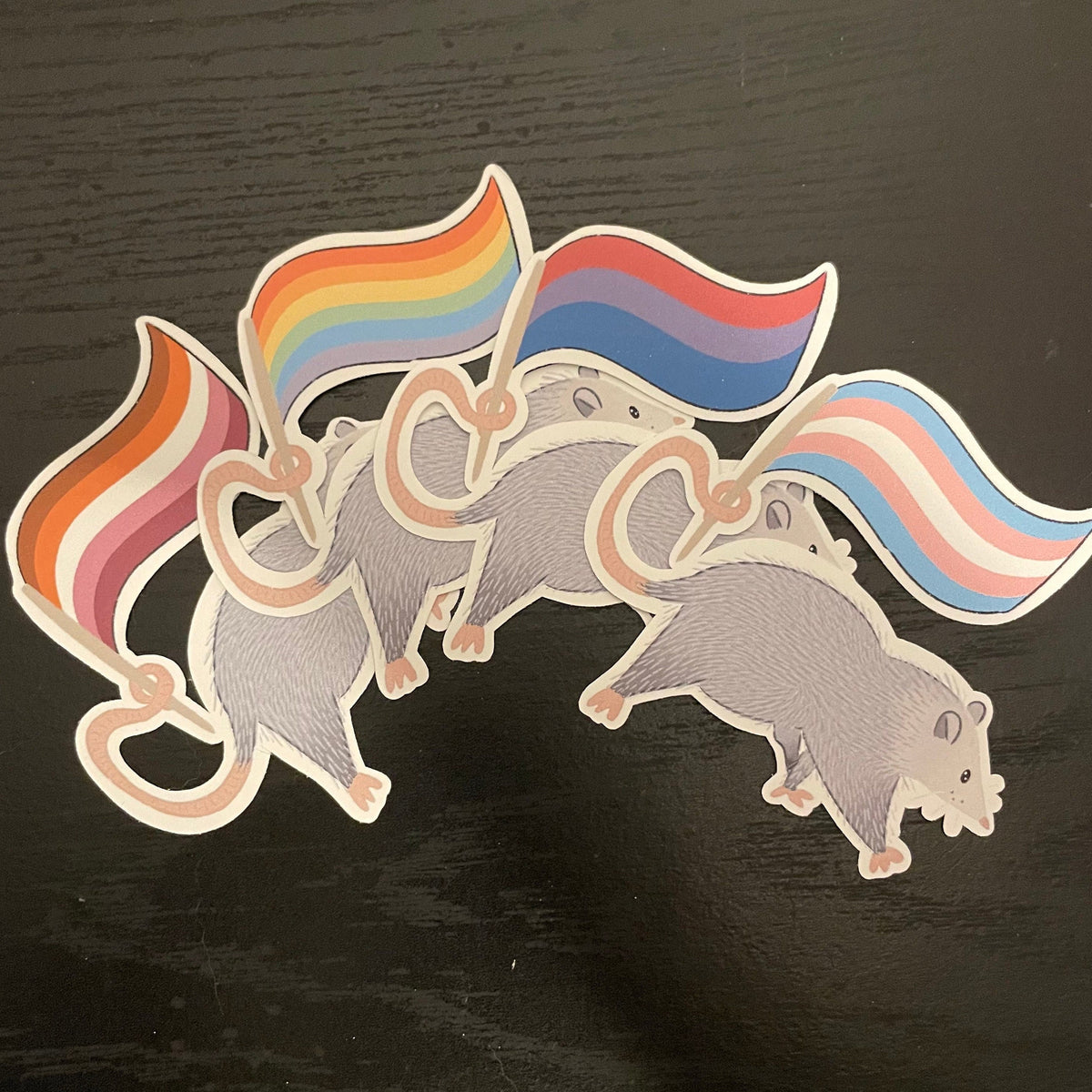 Pride Opossum Vinyl Stickers